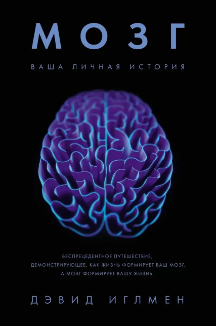 Научно-популярные книги о работе мозга занимают топы продаж на западном рынке